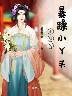 王爷的暴力宠妃免费阅读