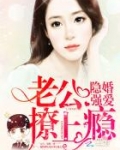 隐婚强爱:老公,撩上瘾