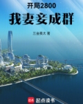 开局2800，我妻妾成群