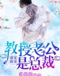 盛宠萌妻：教授老公是总裁