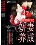 盛宠豪门之娇妻养成