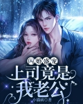 上司竟是闪婚对象