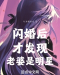 闪婚后才发现老婆是明星小说免费阅读