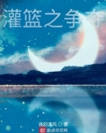 灌篮之争夺txt百度云