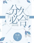 分久必合娱乐圈txt