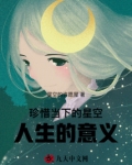 珍惜当下的星空,人生的意义