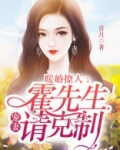 暖婚撩人：霍先生，宠妻请克制