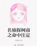 名侦探柯南之命中注定