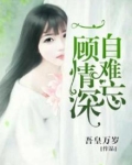 回首难忘情深