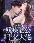 闪婚残疾老公竟是千亿大佬小说阅读