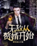无敌赘婿沈浪