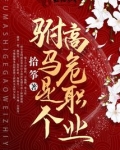 驸马是个高危职业讲的什么