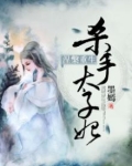 涅槃重生:杀手太子妃