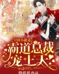 《空降萌宝:腹黑总裁冷娇妻》