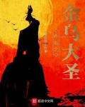 西游之金乌大圣女主