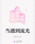 当遇到流光