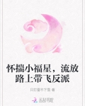 怀揣小福星,流放路上小说