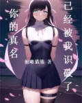 你的真名已经被我识破了TXT
