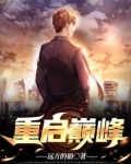 重启巅峰陆青云小说笔趣阁