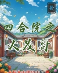 四合院我是大茂哥哥