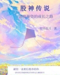 股票，从入坑到入土