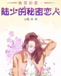 独宠旧爱・陆少的秘密恋人 讲了啥