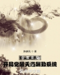 吞噬星空:开局觉醒天道酬勤系统