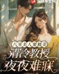 八零美人要独美，清冷教授夜夜难寐
