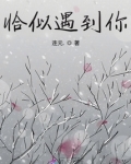 恰似遇到你