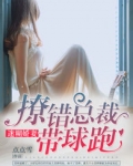迷糊娇妻:撩错总裁带球跑