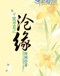 千百度的歌词