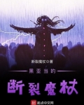 黑亚当的断裂魔杖小说
