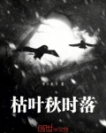枯叶落山路