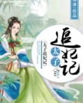 太子追妃记 免费下载