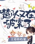 楚队又在破案了
