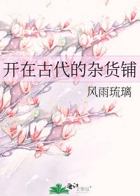 开在古代的杂货铺txt