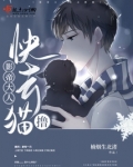 no,影帝大人
