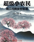 小说陈二D