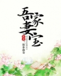 吾家妻宝全文免费TXT下载