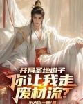 系统绑错人后，我的修仙路走歪了