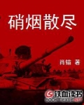 硝烟散尽小说全本