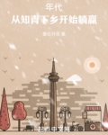 年代:从知青下乡开始躺赢