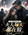 惹上腹黑凌少