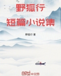 野狐行短篇小说集