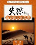 失踪完整