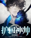 护国神帅全集完整版