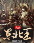 大唐东北王
