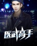小说医武高手