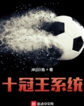 十冠王结局