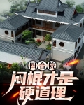 四合院:闷棍才是硬道理